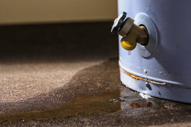 Reliable KY Water damage restoration Solutions