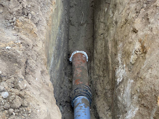 Best Basement water damage restoration  in Taylorsville, KY