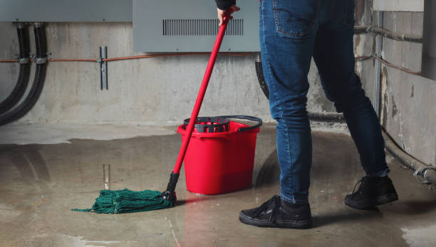 Best Water damage contractors near me  in Taylorsville, KY