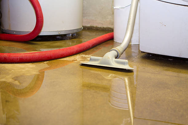 Best Flood restoration services  in Taylorsville, KY