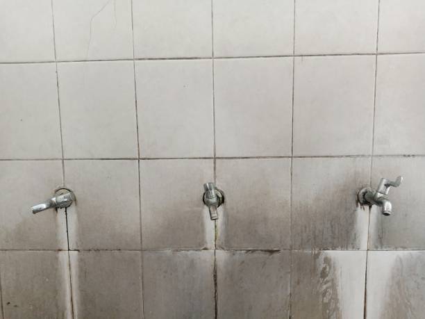 Best 24/7 water damage repair  in Taylorsville, KY