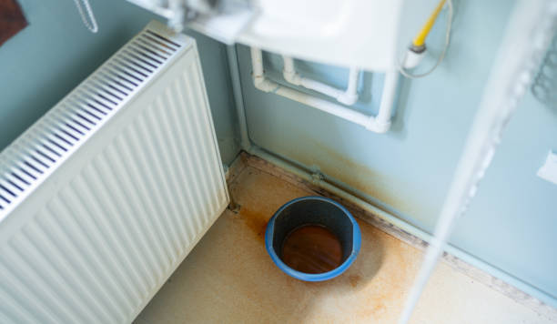 Best Flood damage cleanup  in Taylorsville, KY