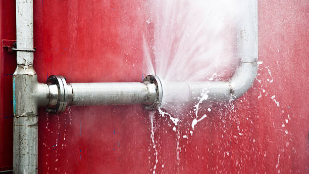 Best Mold removal after water damage  in Taylorsville, KY
