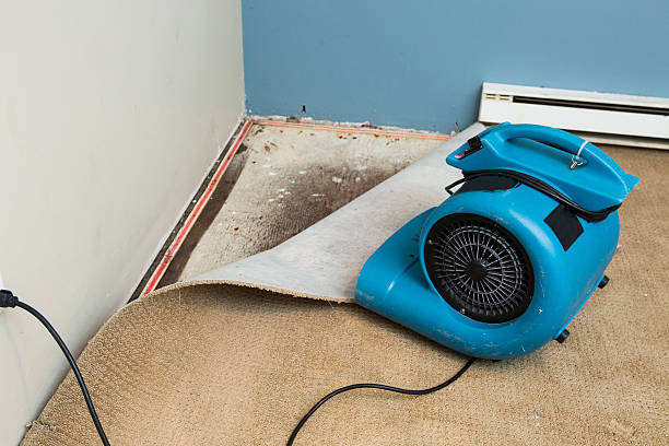 Best Water damage restoration process  in Taylorsville, KY